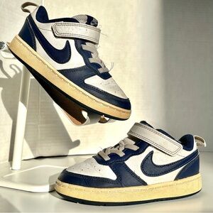 Nike Court Borough Low 2 Shoes